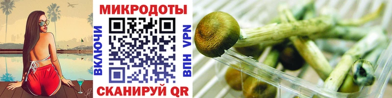 Галлюциногенные грибы Psilocybine cubensis  мега   Людиново 