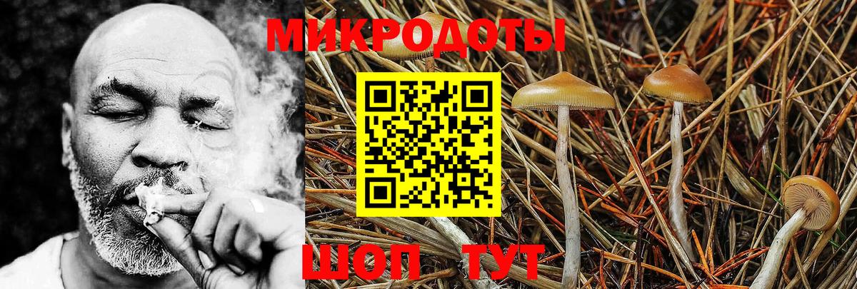 Галлюциногенные грибы Psilocybine cubensis  Вход с VPN  Людиново 